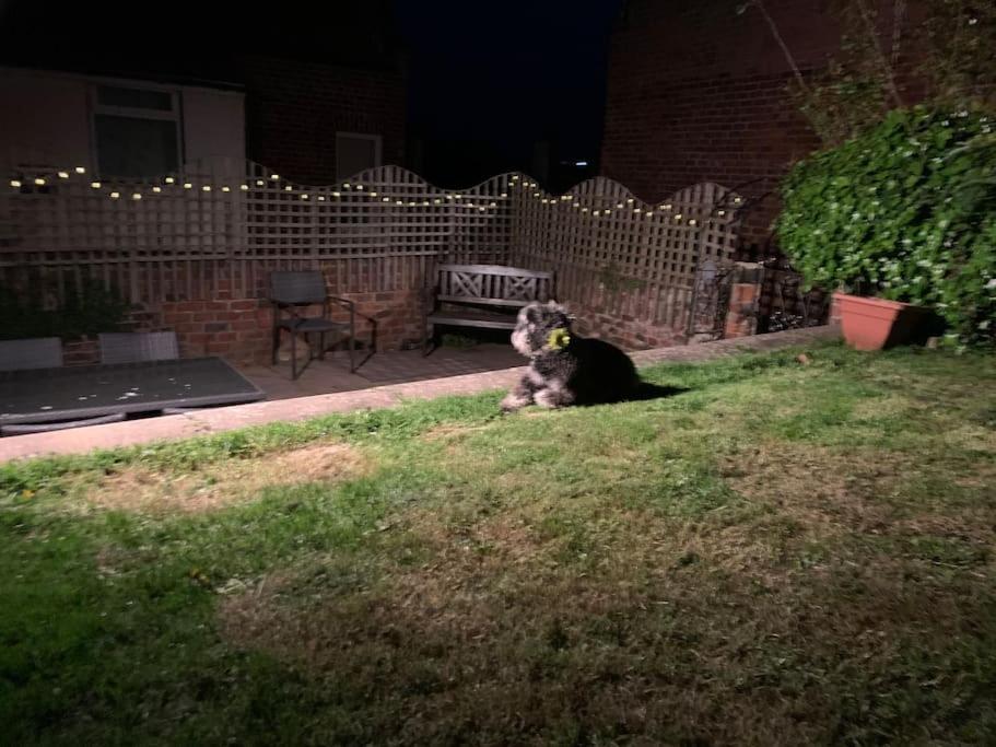 Award Winning Pet Friendly Paddock Cottage Γουίτμπι Εξωτερικό φωτογραφία