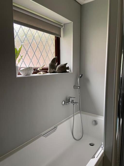 Award Winning Pet Friendly Paddock Cottage Γουίτμπι Εξωτερικό φωτογραφία