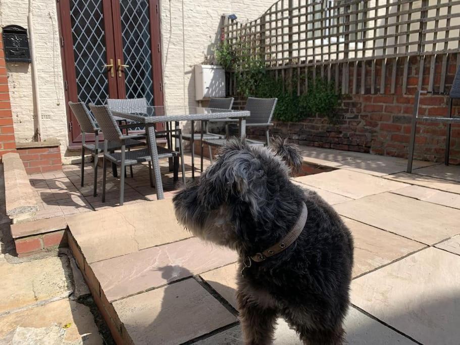 Award Winning Pet Friendly Paddock Cottage Γουίτμπι Εξωτερικό φωτογραφία
