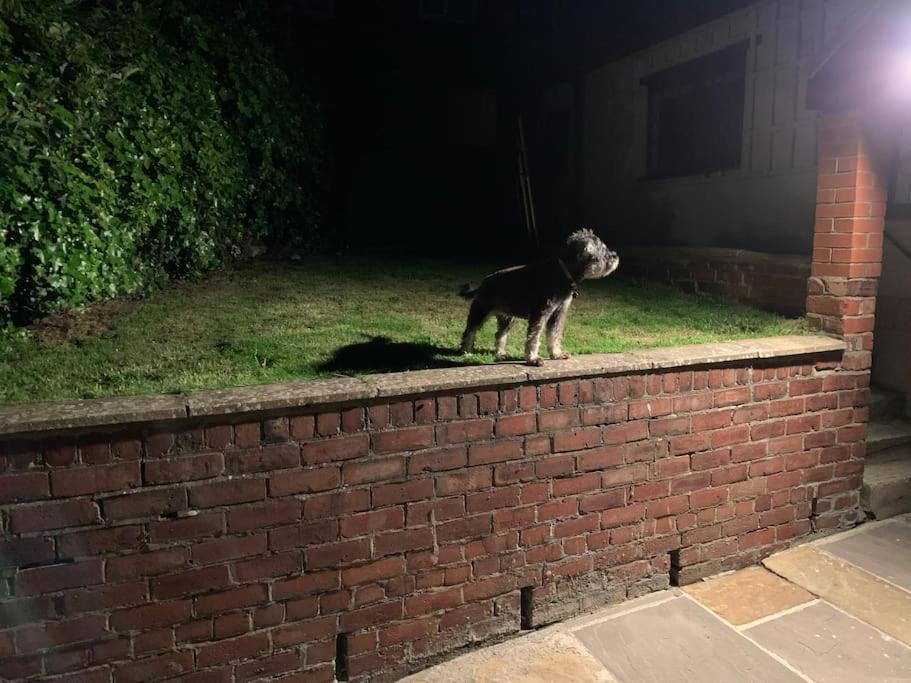 Award Winning Pet Friendly Paddock Cottage Γουίτμπι Εξωτερικό φωτογραφία